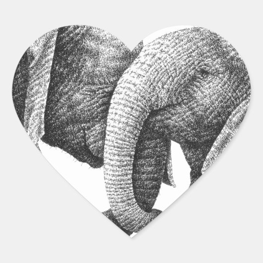 Sticker für afrikanische Elefanten (Vorderseite)