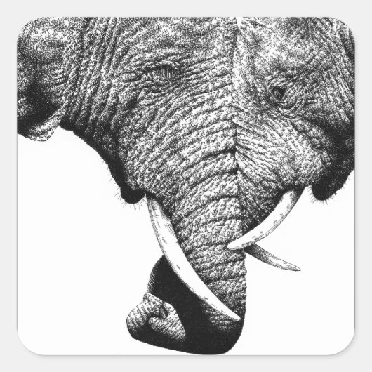 Sticker für afrikanische Elefanten (Vorderseite)