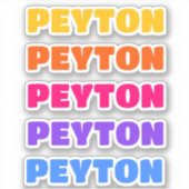 Sticker für ästhetische Namen, Preppy-Sticker (Vorderseite)