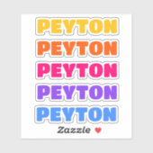 Sticker für ästhetische Namen, Preppy-Sticker (Blatt)