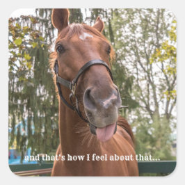 Sticker für das Foto "Funny Horse"