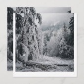 Sticker für den Schneewald Einladung (Vorne/Hinten)