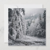 Sticker für den Schneewald Einladung (Rückseite)