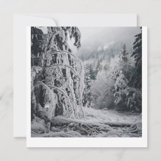 Sticker für den Schneewald Einladung (Vorderseite)