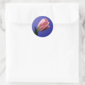Sticker für den Umschlag Aufkleber Spring Tulip (Tasche)