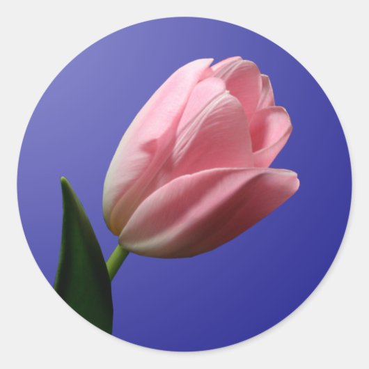 Sticker für den Umschlag Aufkleber Spring Tulip (Vorderseite)