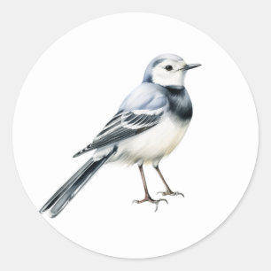 Sticker für den White Wagtail Bird
