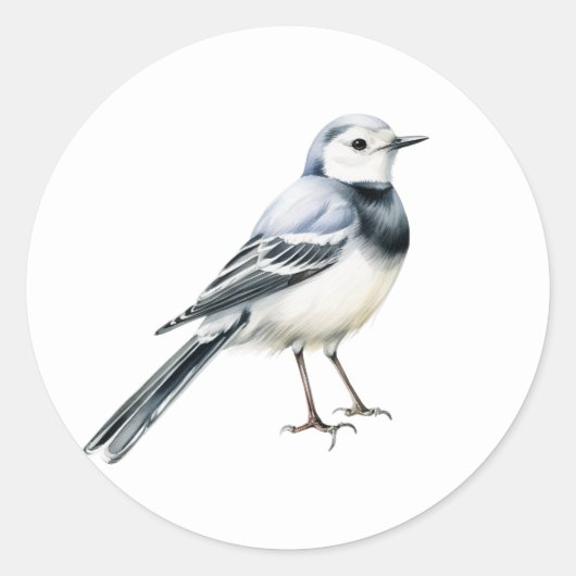 Sticker für den White Wagtail Bird (Vorderseite)
