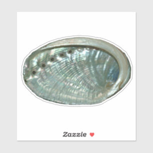 Sticker für die Muschel Abalone