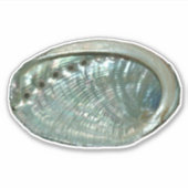 Sticker für die Muschel Abalone (Vorderseite)