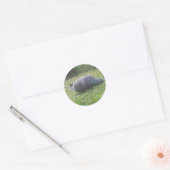 Sticker für die Schlaftaube (Umschlag)