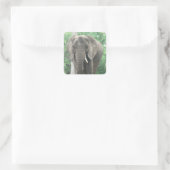 Sticker für geschmeidige Elefanten (Tasche)