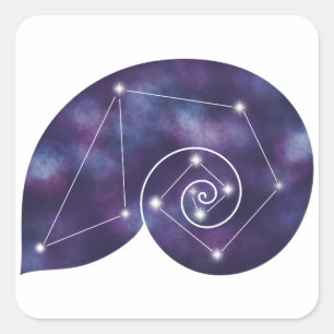 Sticker für Nautilus-Muschel