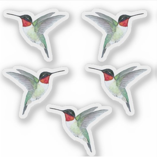 Sticker für Ruby-throated Hummingbirds (Vorderseite)