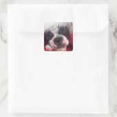 Sticker für schlafende Boston Terrier (Tasche)