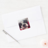 Sticker für schlafende Boston Terrier (Umschlag)