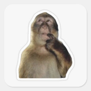 Sticker für unschuldige Affen