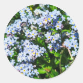 Sticker für Vergiss-Me-Nots (Vorderseite)