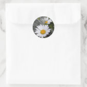 Sticker für White Shasta Daises (mit Gold) (Tasche)