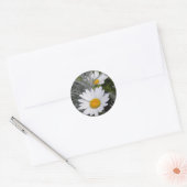 Sticker für White Shasta Daises (mit Gold) (Umschlag)