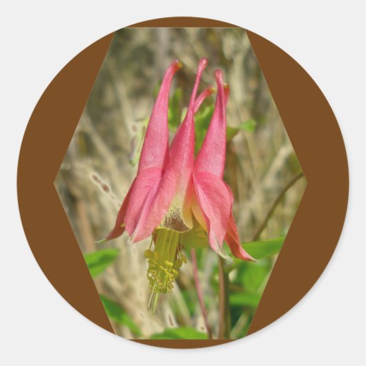 Sticker für Wild Columbine (Vorderseite)