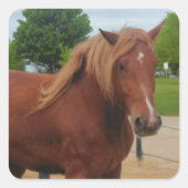 Sticker Horse Country Western Equine Note (Vorderseite)