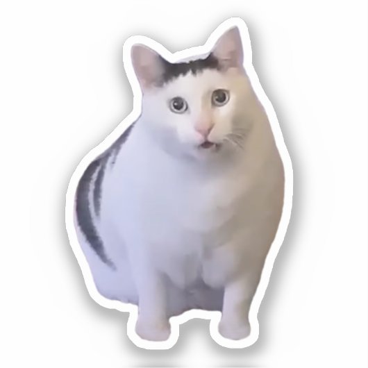 Sticker Huh Cat Meme (Vorderseite)