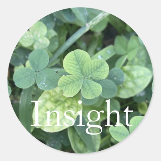 Sticker 'Insight (Vorderseite)