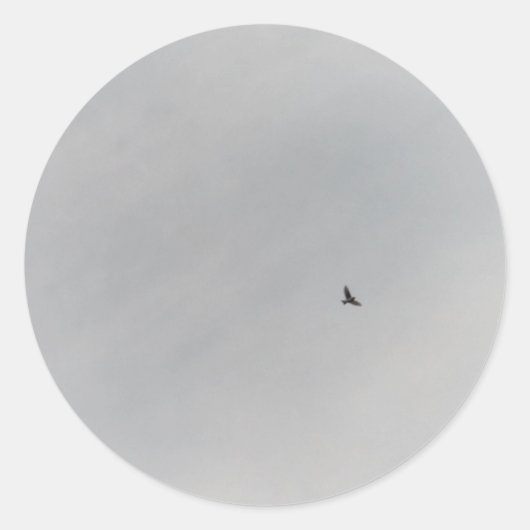 STICKER ROLL (Vorderseite)