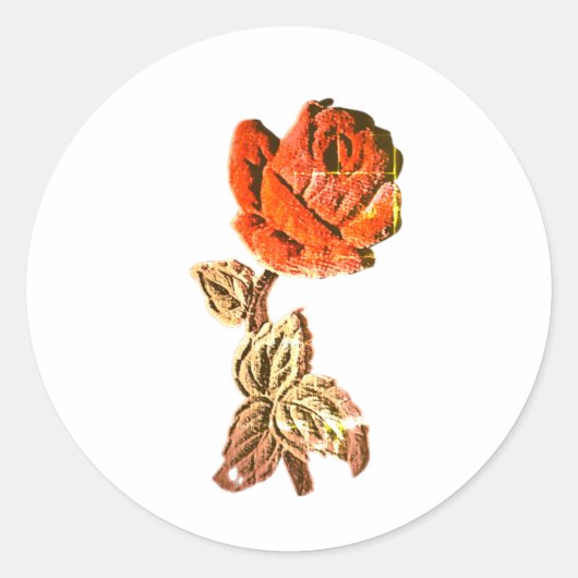 STICKER ROLL (Vorderseite)