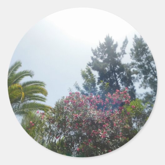 STICKER ROLL (Vorderseite)