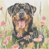 Sticker – Rottweiler Aufkleber (Vorderseite)