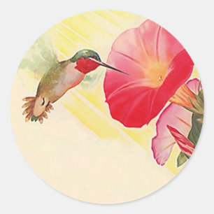 Sticker Ruby Throated Hummingbird @ Blume Garden