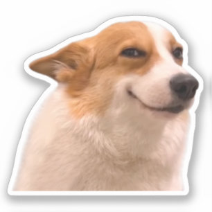 Sticker Smiling Corgi Meme