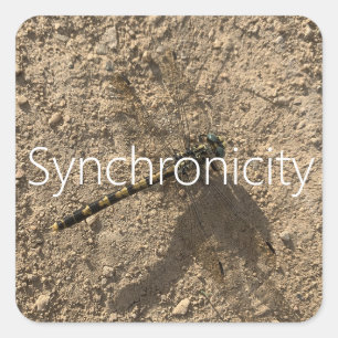 Sticker 'Synchronicity'