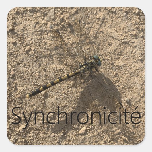 Sticker 'Synkrhonizität' (Vorderseite)
