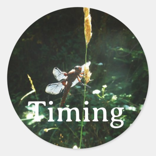 Sticker Timing (Vorderseite)