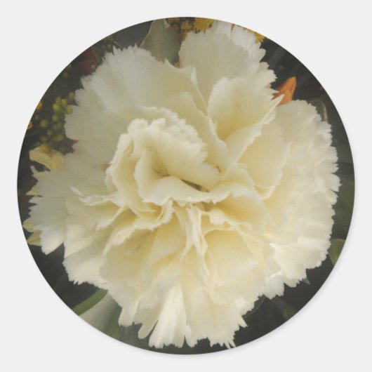 Sticker White Carnation Beauty (Vorderseite)