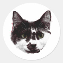 Sticker with a Stare | Ink Style Cat Sticker