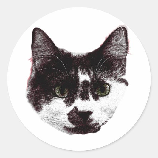 Sticker with a Stare | Ink Style Cat Sticker (Vorderseite)