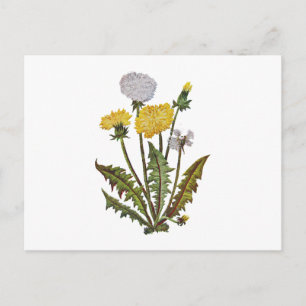 Stickerei mit Crewel-Goldenen Dandy-Löwen Postkarte