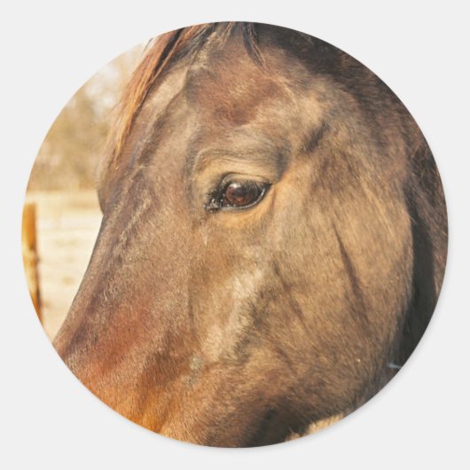 Stickereien Runder Aufkleber (Vorderseite)