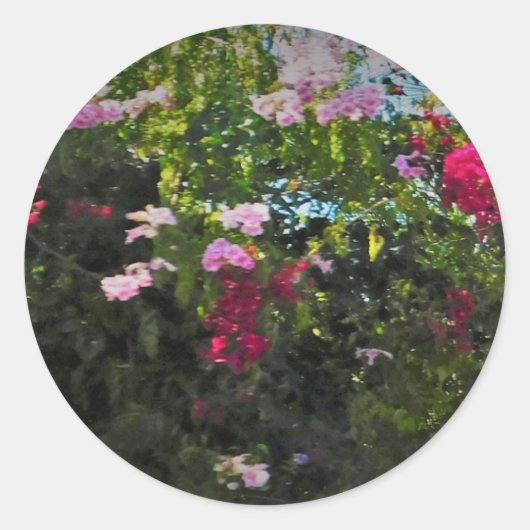 Stickerrolle runder aufkleber (Vorderseite)