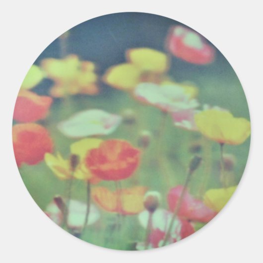 Stickerrolle  runder aufkleber (Vorderseite)