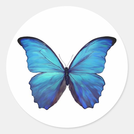 Stickers Blue Morpho Butterfly (Vorderseite)