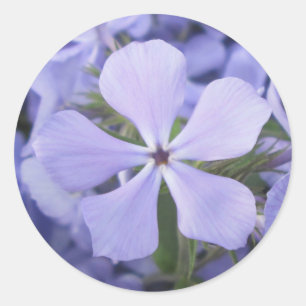 Stickers - Blue Phlox II