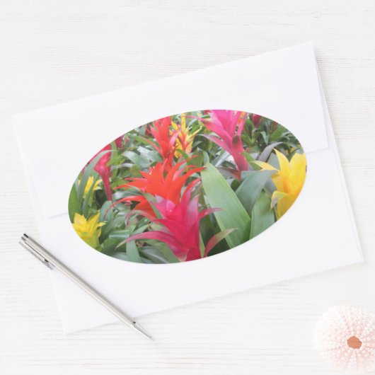 Stickers - Bromeliad Forest (Umschlag)