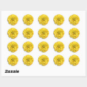 Stickers - Candy Stripe Zinnia (Blatt)