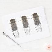 Stickers cicada (Umschlag)
