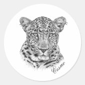 Stickers - Cosmo (Vorderseite)